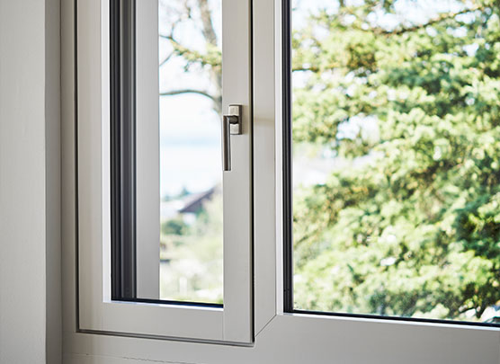 EgoKiefer Windows